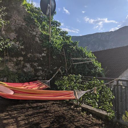 Best View! Rooftop With Garden - Old Town Nr404 Kotor Ngoại thất bức ảnh