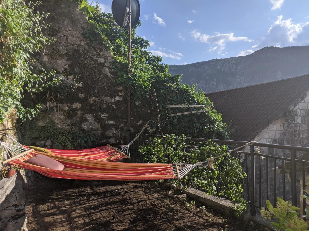 Best View! Rooftop With Garden - Old Town Nr404 Kotor Ngoại thất bức ảnh
