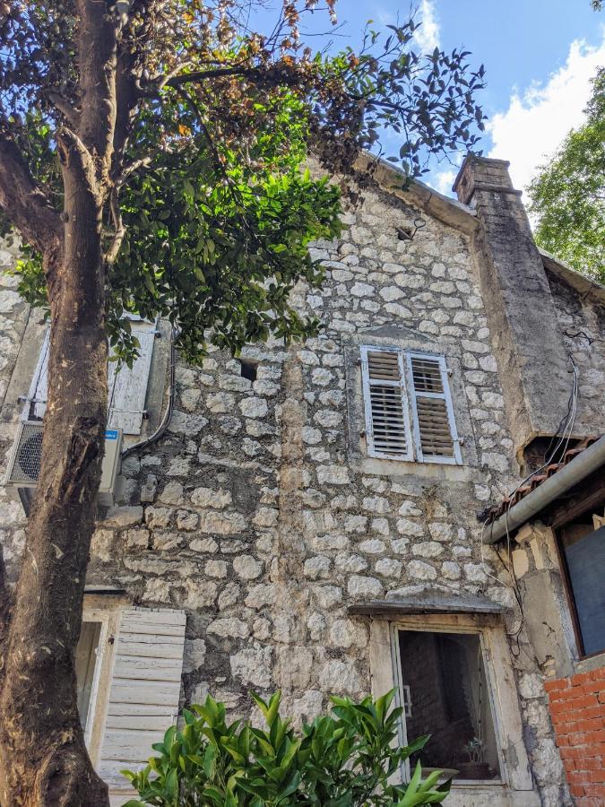 Best View! Rooftop With Garden - Old Town Nr404 Kotor Ngoại thất bức ảnh